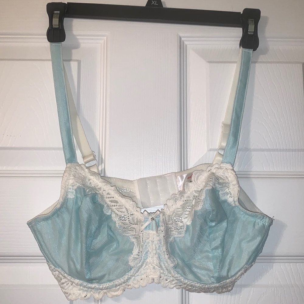 Whimsy Lace Bra.